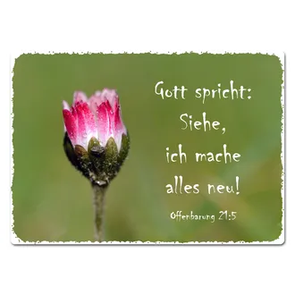 Blechschild A4 mit Jahreslosung 2026 "Siehe, ich mache alles neu!" | Gänseblümchen