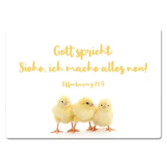 Blechschild "Siehe, ich mache alles neu!"