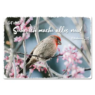 Blechschild mit Jahreslosung 2026