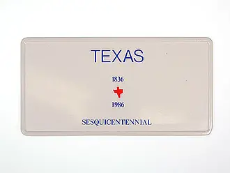 Funschild Texas  - Größe: 30x15 cm