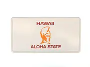 Funschild Hawaii  - Größe: 30 x 15 cm