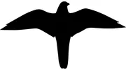 Hinweisschild »Symbol -Falke-​« 
